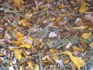 Harvest Dreams from Mad Pots of Tea