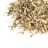 French Vervain from Sanctuary T