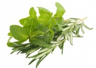 Rosemary Mint from Madametj's Fresh Garden