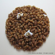 Genmai (Toasted Rice) from Kyoto Obubu Tea Plantation from Yunomi