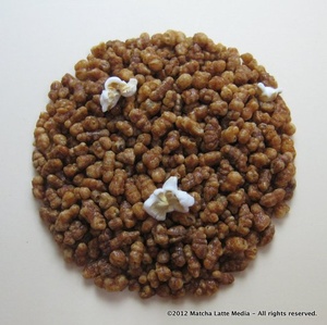 Genmai (Toasted Rice) from Kyoto Obubu Tea Plantation Tea by Yunomi ...