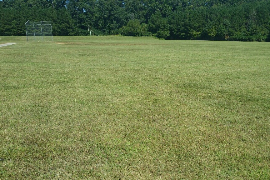  Field