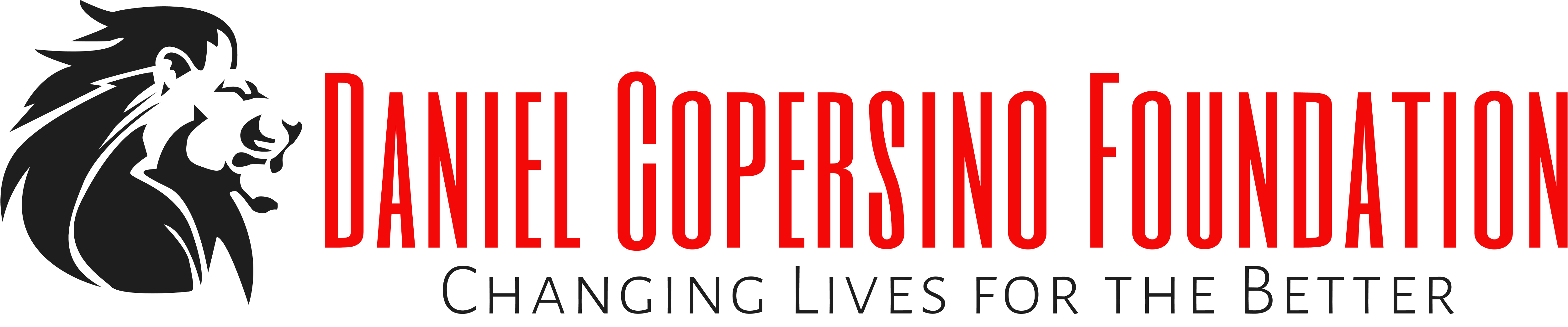 Daniel Copersino Foundation, Inc. logo