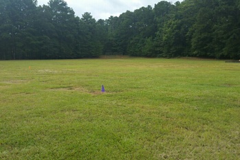 Field