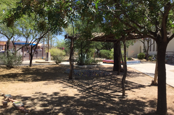 Garden Courtyard