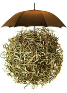 Ceylon Single Estate from Stir Tea