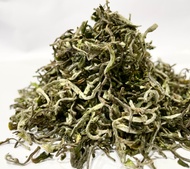 Singbulli organic moonshine EX-11 darjeeling tea 1st flush 2022 from Tea Emporium ( www.teaemporium.net)