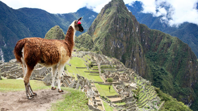 Trek to the Machu Picchu