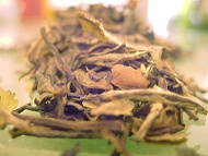 White Peony from Art of Tea