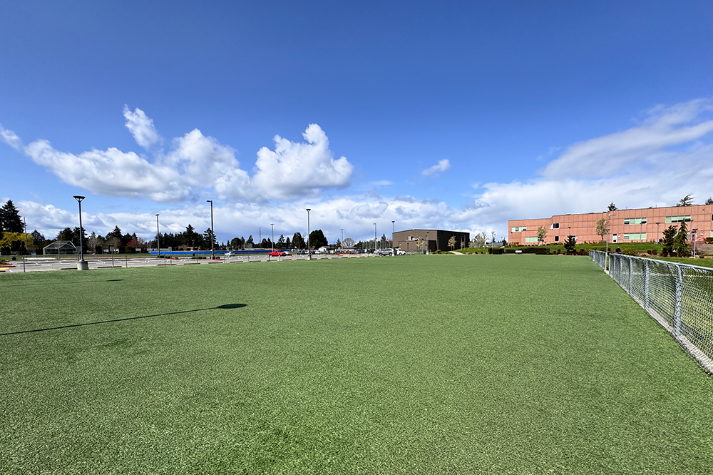 Small Turf Field