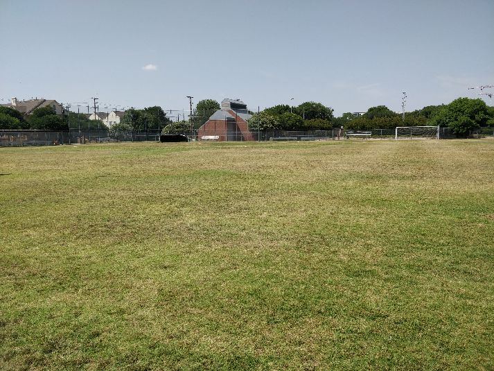 Field