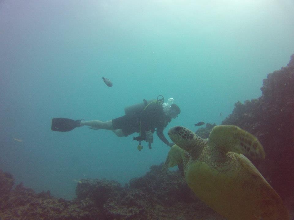 Coral Reef Dives photo 1