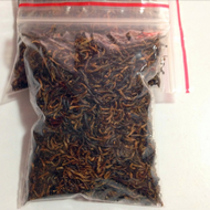 Jinjunmei Fujian Black AAA Heavy Roast from Han Xiang Ecological Tea