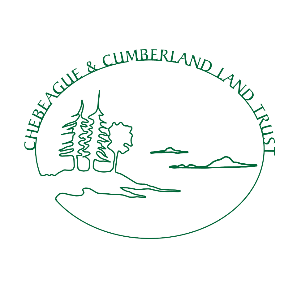 CCLT Campaign to Protect Rines Forest II Chebeague & Cumberland Land Trust (Powered by Donorbox)