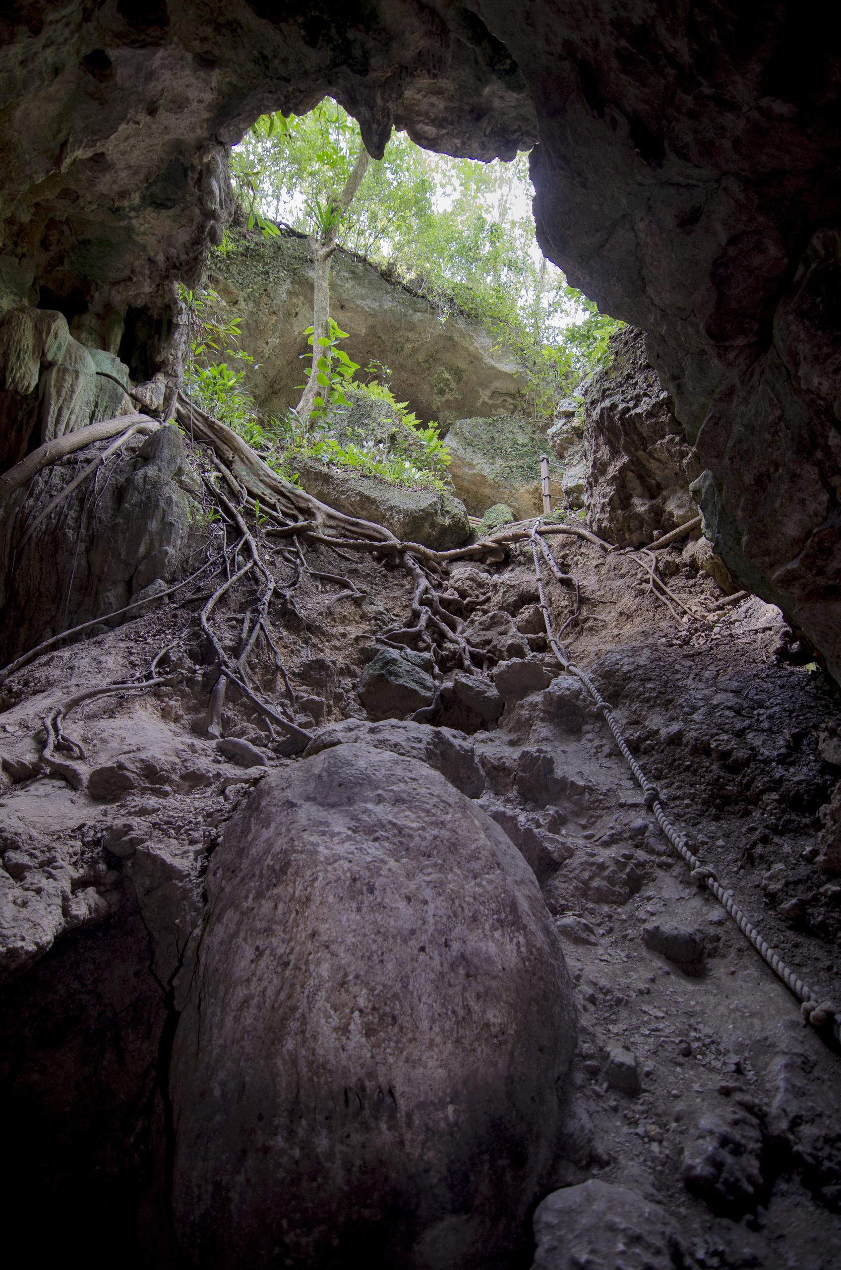 Cueva Ventana Guided Cave Walking Tour photo 3