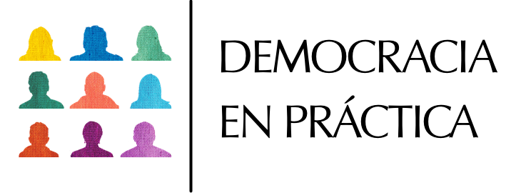 Democracy In Practice logo