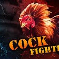 Cock Fighting from Nightingale