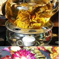 Thai Wild Tea Flower from Siam Tee Shop