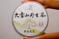 Da Xue Shan Wild Pu-erh Spring 2010 from Hojo Tea