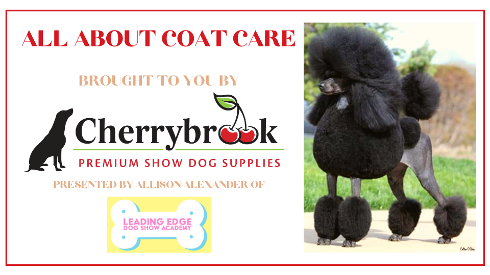 Cherrybrook grooming sales
