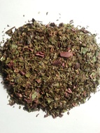 Organic Chocolate Mint Guayasa from SourceTea
