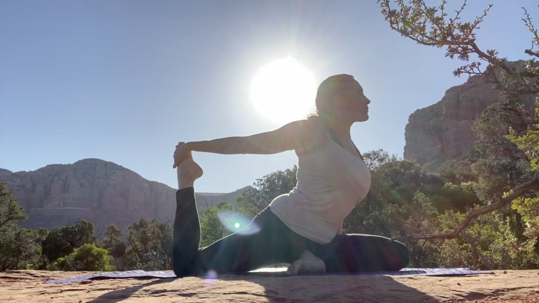 30 Min Yoga, Chair Yoga & Stress Management Classes | Yoga for