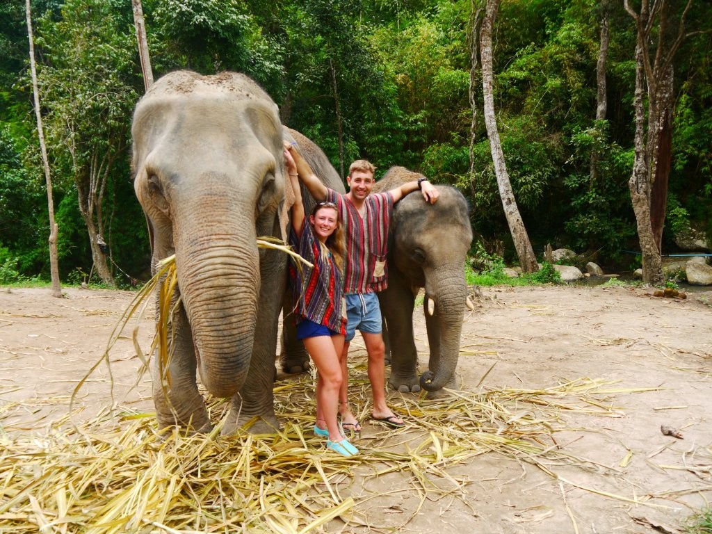 Experience in Kanta Elephant Sanctuary