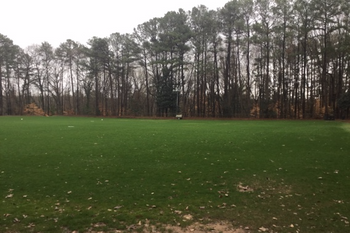 Field