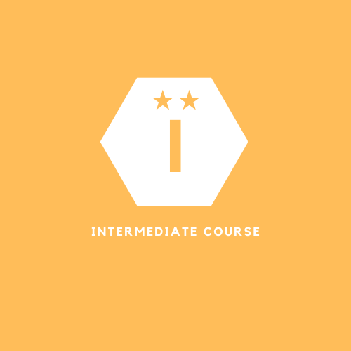 Intermediate Turkish Course Online