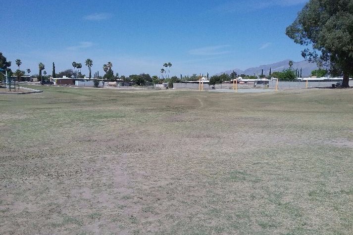 Playground and Field