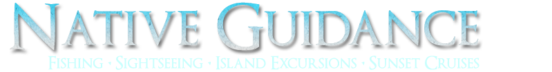 Native Guidance