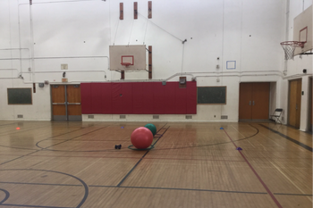 Gymnasium-Small