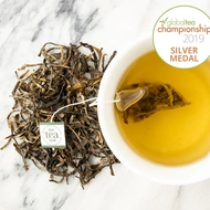 Wild Harvest Green Pu’erh from The Tea Spot