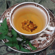 Moroccan Breeze Mint Green from Wild Orchid Teas