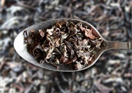 Bai Hao Oolong from TeaVert