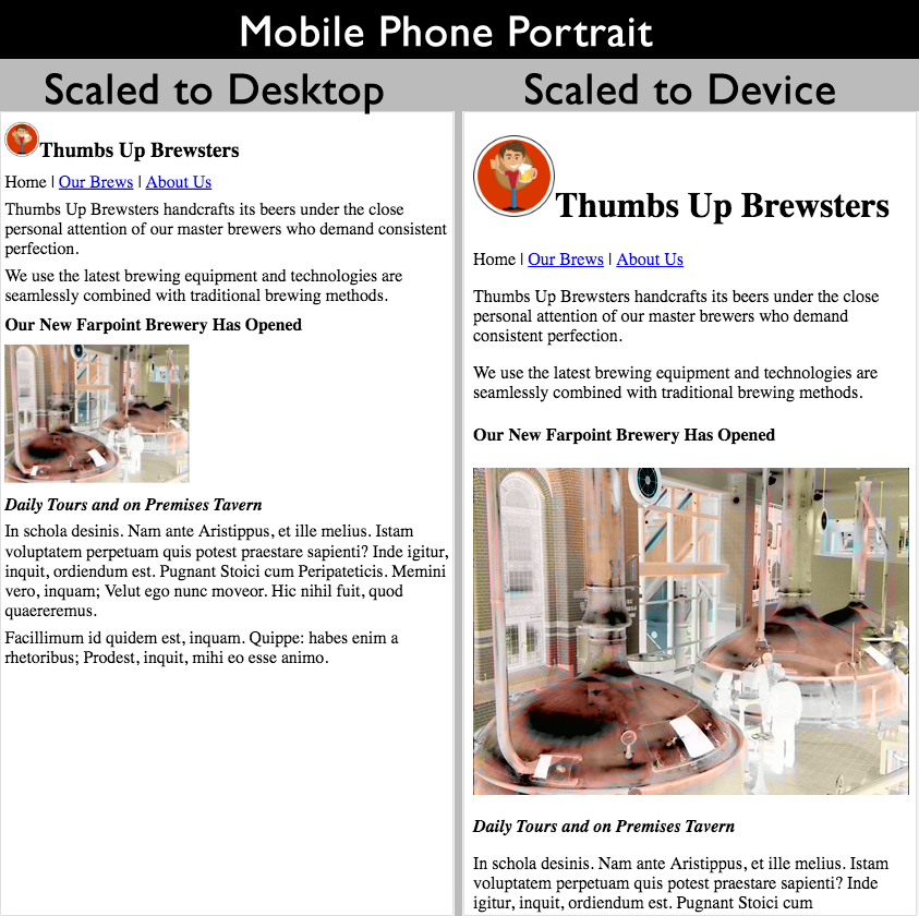 Mobile phone portrait side by side scaling
