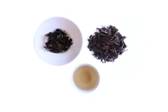Yui's Hojicha from Paru Tea Bar