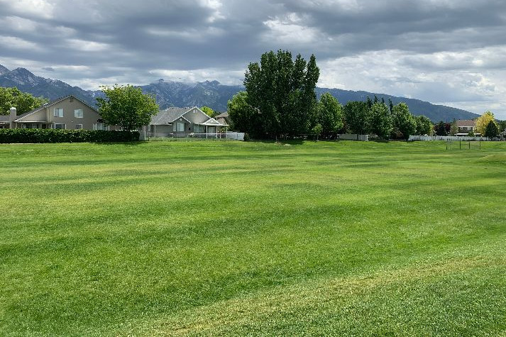Fields