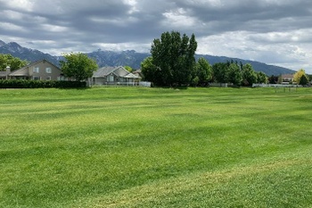 Fields