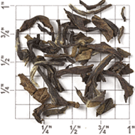 No. 1 Tippy Orthodox GFOP Darjeeling (TD50) from Upton Tea Imports