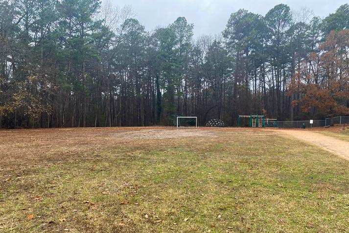 Field 