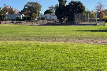 Outdoor Field: IMPACTED