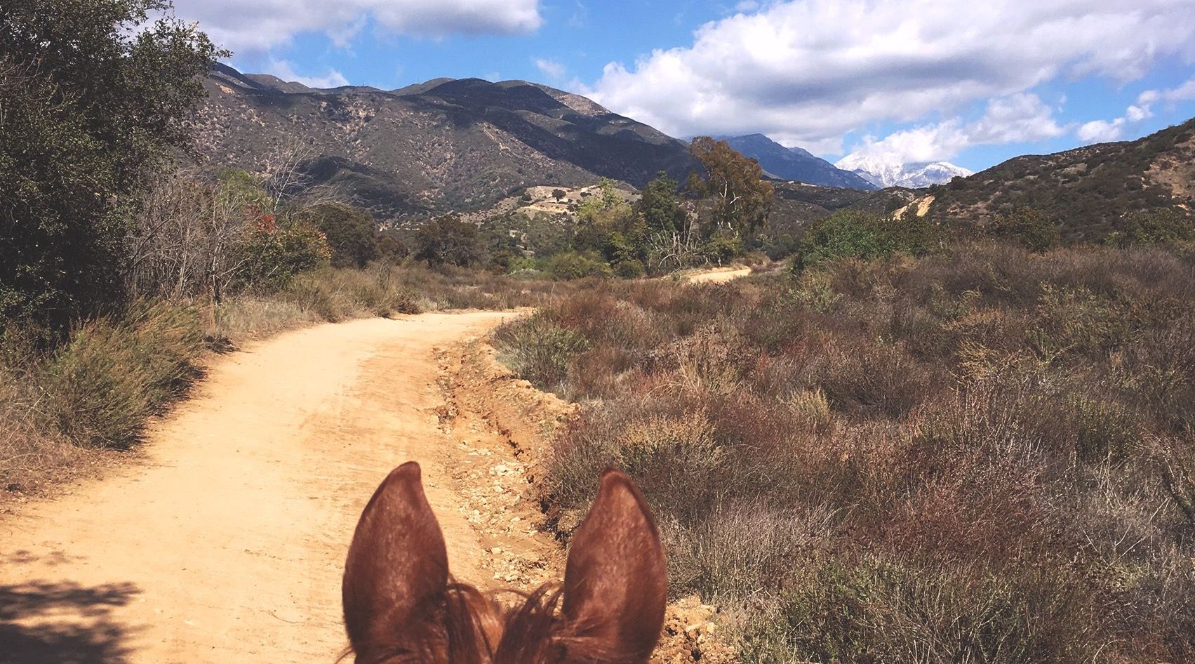 1-Hour Marshall Canyon Horseback Ride in La Verne in Los ...