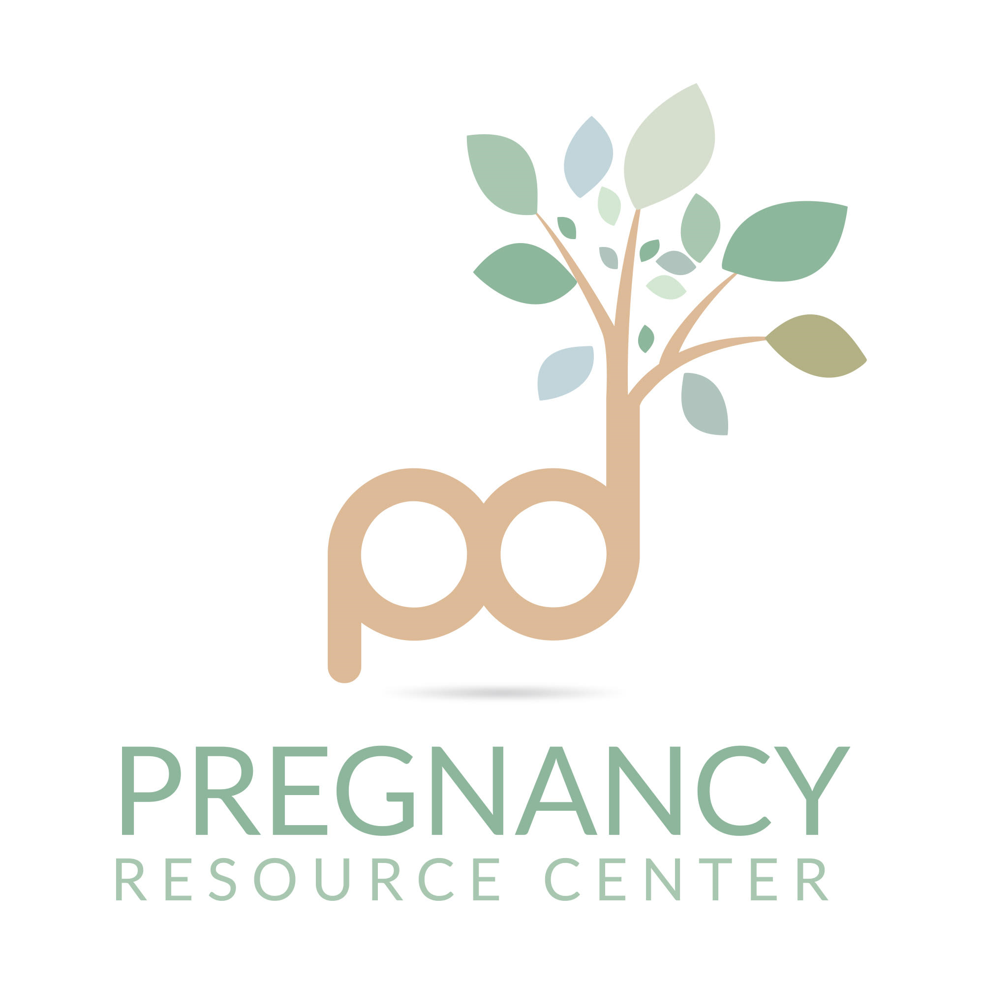 Pee Dee Pregnancy Resource Center logo