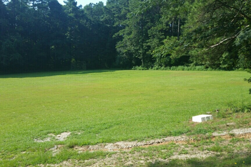 Field