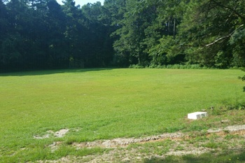 Field
