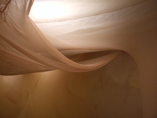 image: 