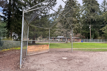 Baseball Field Grass
