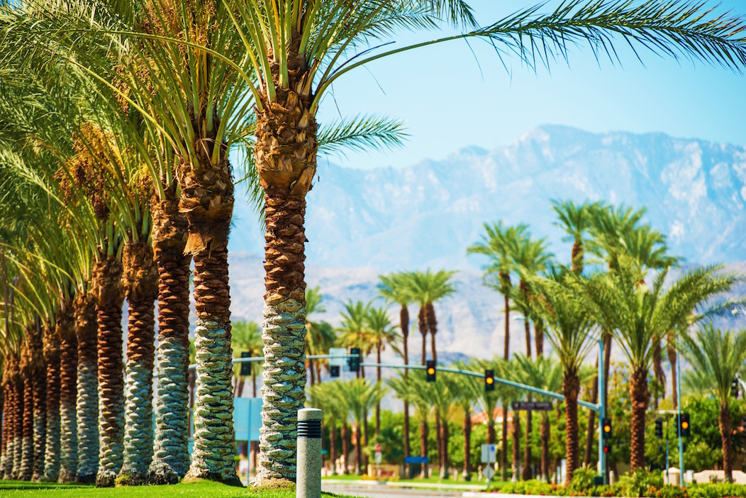 Legendary Old Las Palmas Walking Tour in Palm Springs Book Tours