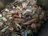 sow mee white tea from didn't have a company name